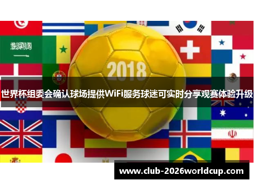世界杯组委会确认球场提供WiFi服务球迷可实时分享观赛体验升级